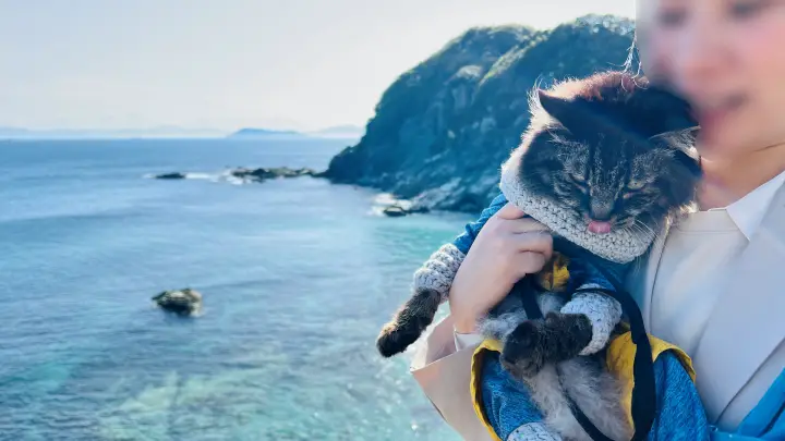 【佐田岬灯台】猫と行く四国最西端絶景スポット！駐車場・散策時間・ペット可の観光完全ガイド