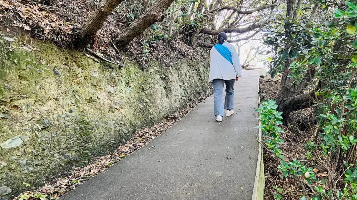 【佐田岬灯台】猫と行く四国最西端絶景スポット！駐車場・散策時間・ペット可の観光完全ガイド