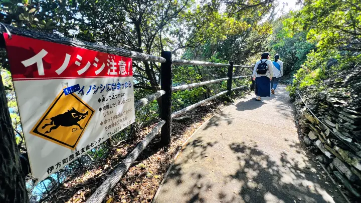 【佐田岬灯台】猫と行く四国最西端絶景スポット！駐車場・散策時間・ペット可の観光完全ガイド