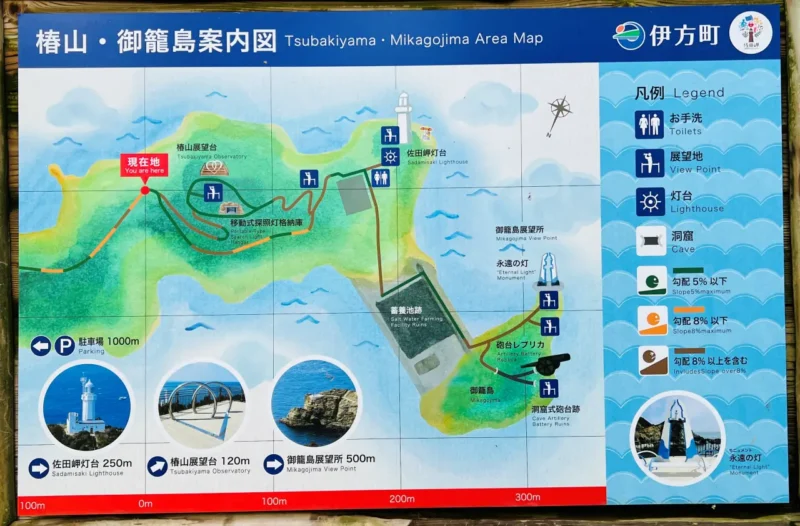 【佐田岬 椿山展望台】猫（ペット）と散策！駐車場・所要時間・絶景ポイント完全ガイド