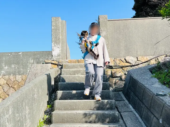 【佐田岬・御籠島】四国最西端の島を猫と散策 展望台のモニュメントや絶景・歴史ある砲台を巡る