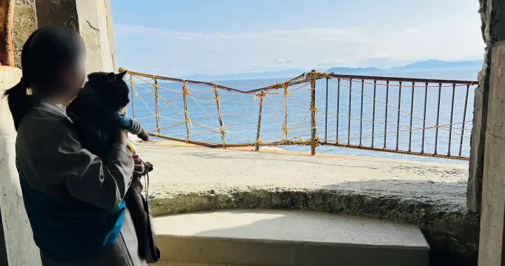 【佐田岬・御籠島】四国最西端の島を猫と散策 展望台のモニュメントや絶景・歴史ある砲台を巡る