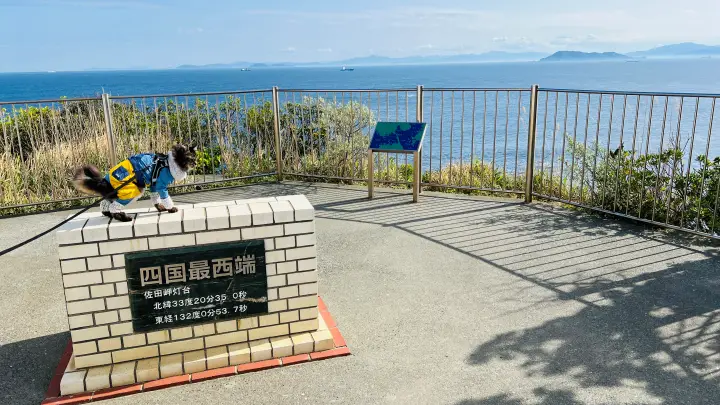 【佐田岬灯台】猫と行く四国最西端絶景スポット！駐車場・散策時間・ペット可の観光完全ガイド