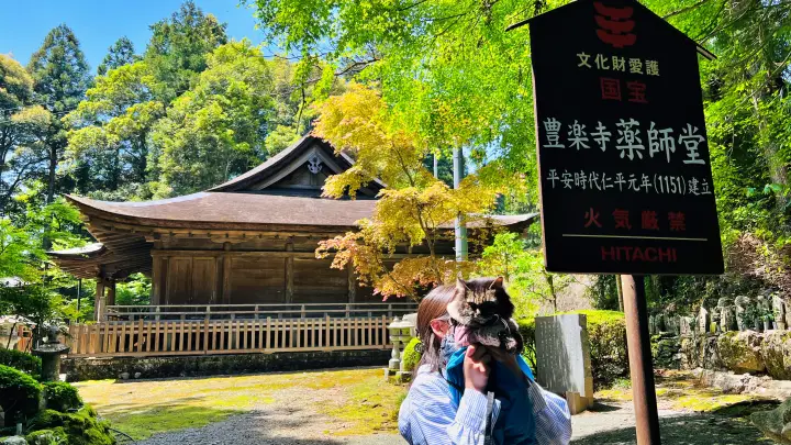 【高知・大豊町】国宝・豊楽寺薬師堂へペットと行ける？猫にも出会える静かな山里の癒し旅