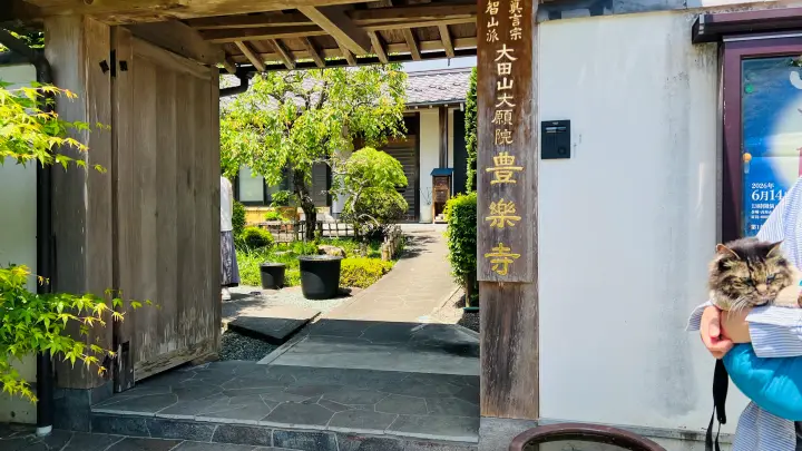 【高知・大豊町】国宝・豊楽寺薬師堂へペットと行ける？猫にも出会える静かな山里の癒し旅