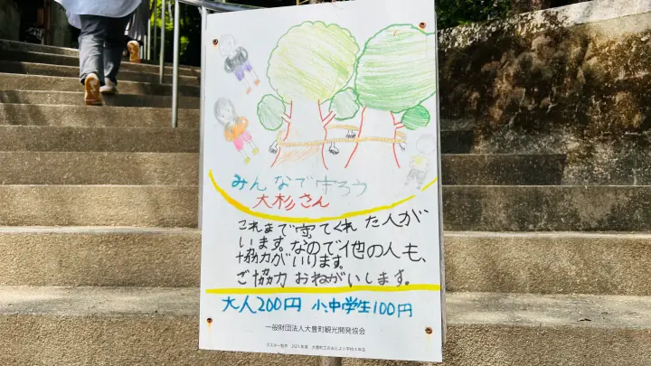 【猫と日本一の大杉へ】大豊町「杉の大杉」ペット同伴旅行レビュー｜駐車場・注意点・リアル体験記