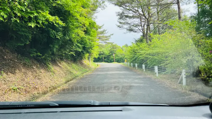 【ペットと絶景散歩】甫喜ヶ峰森林公園を徹底ガイド|展望台・自然・ハイキング満喫レビュー