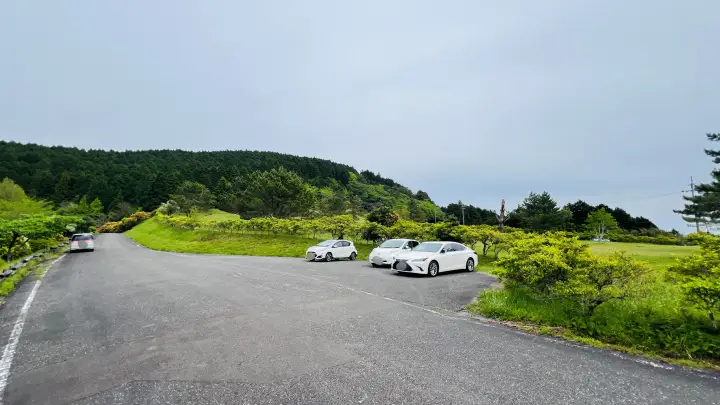 【ペットと絶景散歩】甫喜ヶ峰森林公園を徹底ガイド|展望台・自然・ハイキング満喫レビュー