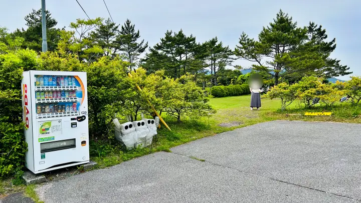 【ペットと絶景散歩】甫喜ヶ峰森林公園を徹底ガイド|展望台・自然・ハイキング満喫レビュー