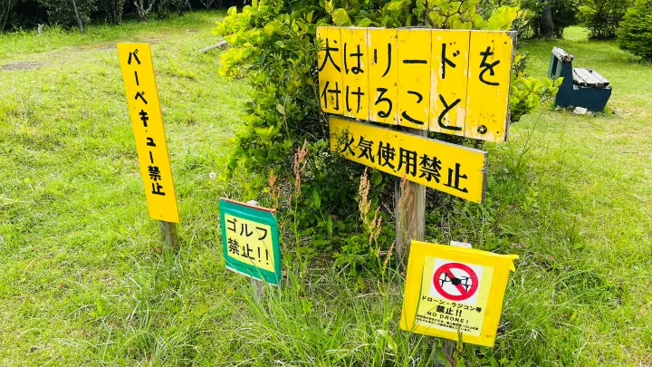 【ペットと絶景散歩】甫喜ヶ峰森林公園を徹底ガイド|展望台・自然・ハイキング満喫レビュー