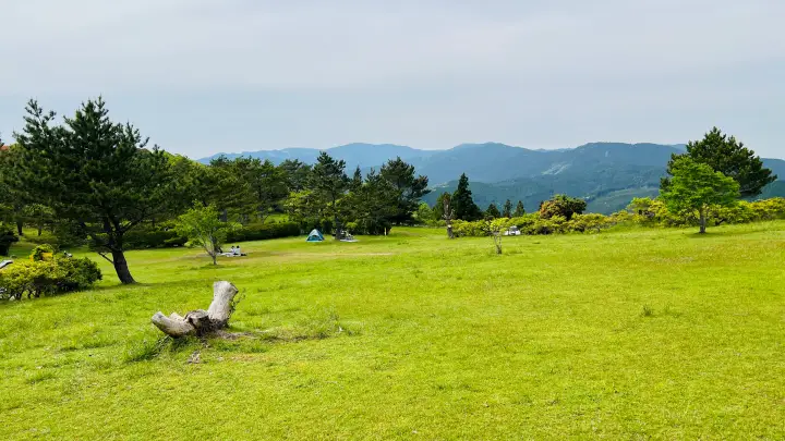 【ペットと絶景散歩】甫喜ヶ峰森林公園を徹底ガイド|展望台・自然・ハイキング満喫レビュー