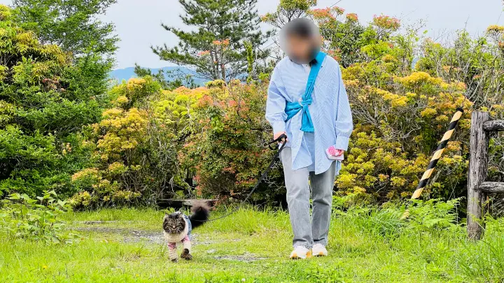 【ペットと絶景散歩】甫喜ヶ峰森林公園を徹底ガイド|展望台・自然・ハイキング満喫レビュー