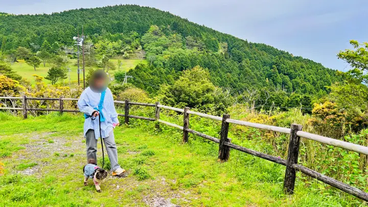【ペットと絶景散歩】甫喜ヶ峰森林公園を徹底ガイド|展望台・自然・ハイキング満喫レビュー