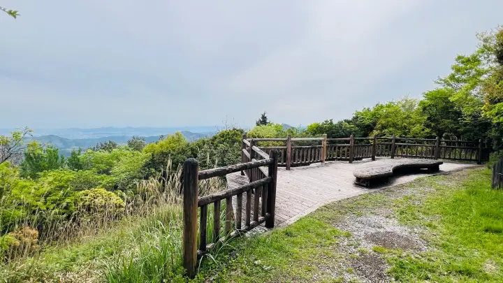 【ペットと絶景散歩】甫喜ヶ峰森林公園を徹底ガイド|展望台・自然・ハイキング満喫レビュー