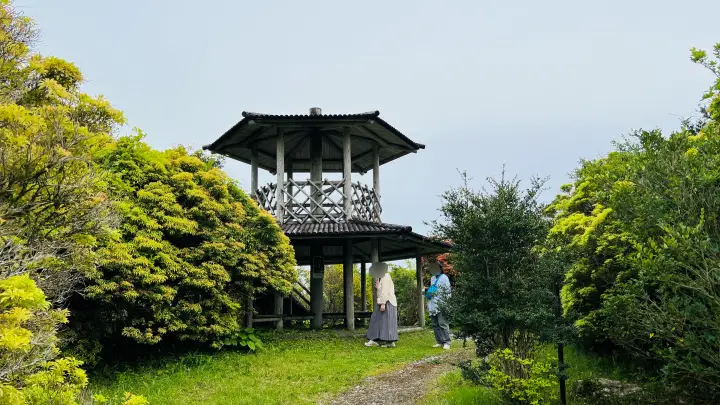【ペットと絶景散歩】甫喜ヶ峰森林公園を徹底ガイド|展望台・自然・ハイキング満喫レビュー