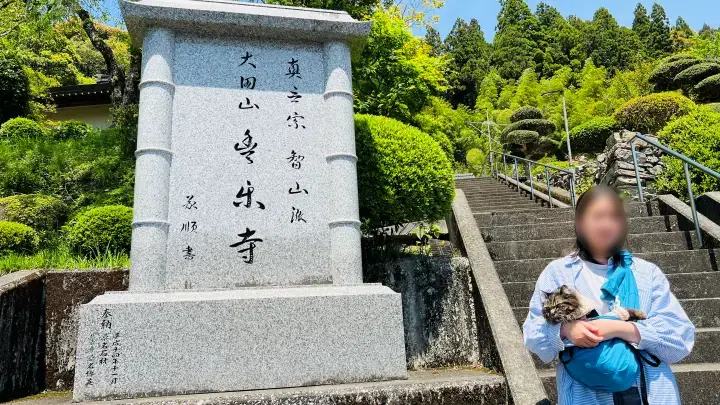 【高知・大豊町】国宝・豊楽寺薬師堂へペットと行ける？猫にも出会える静かな山里の癒し旅