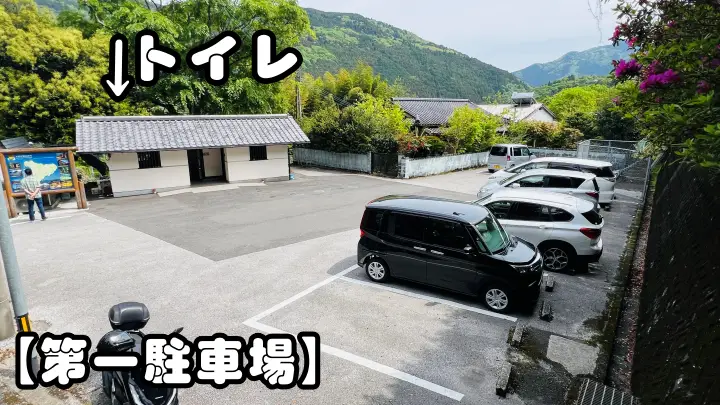 【猫と日本一の大杉へ】大豊町「杉の大杉」ペット同伴旅行レビュー｜駐車場・注意点・リアル体験記