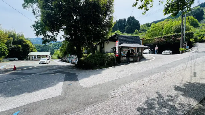 【猫と日本一の大杉へ】大豊町「杉の大杉」ペット同伴旅行レビュー｜駐車場・注意点・リアル体験記