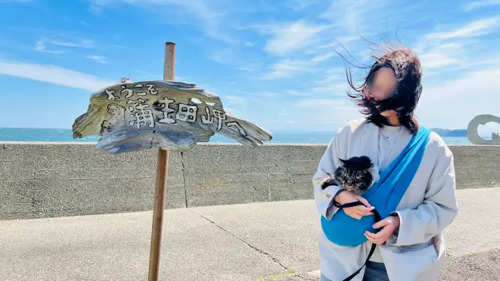 かもだ岬 猫（ペット）と看板