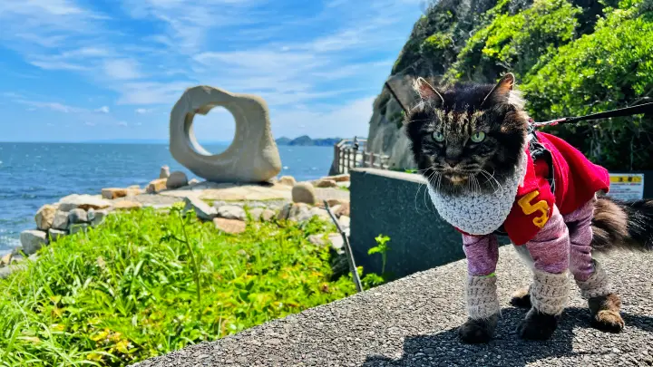 【徳島・かもだ岬】猫（ペット）と行く四国最東端の絶景ドライブ｜灯台・海・かもだ岬温泉を満喫