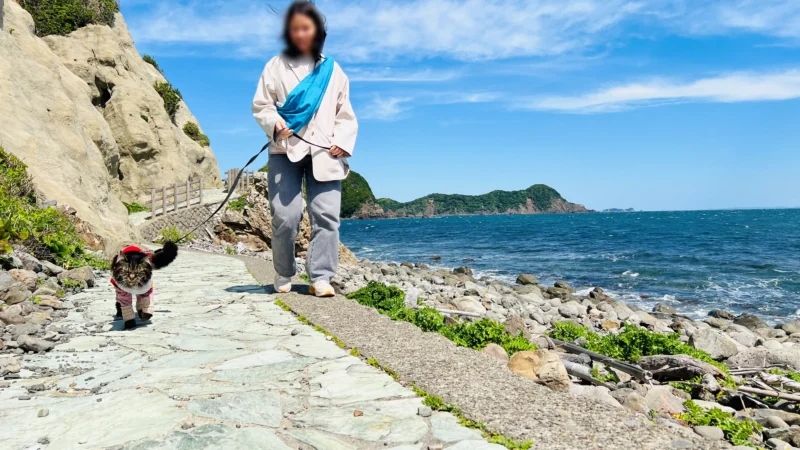 かもだ岬 猫（ペット）と遊歩道