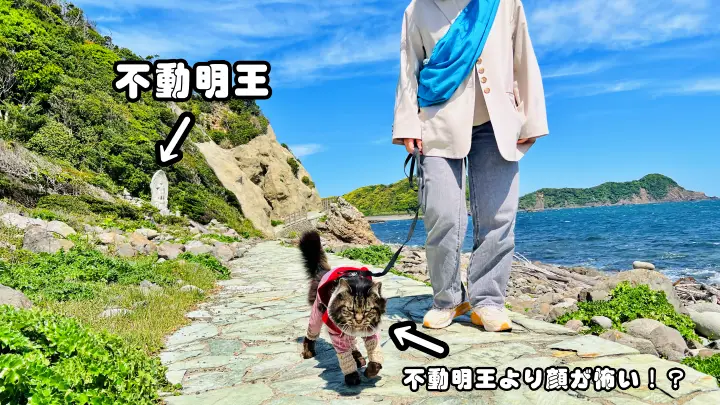 かもだ岬 猫（ペット）と遊歩道と不動明王