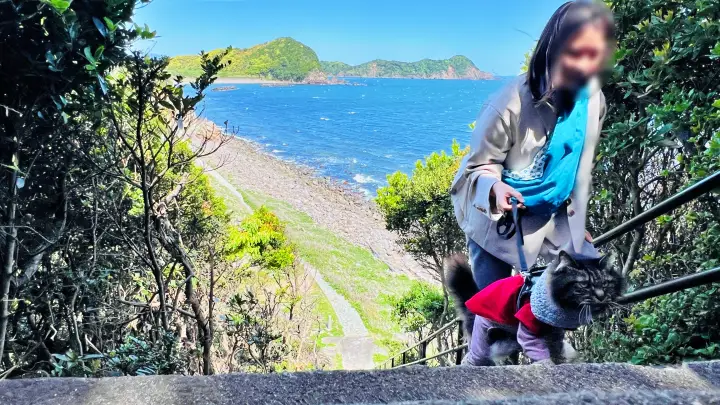 かもだ岬 猫（ペット）と灯台へ続く階段