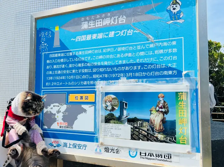 かもだ岬 猫（ペット）と灯台看板