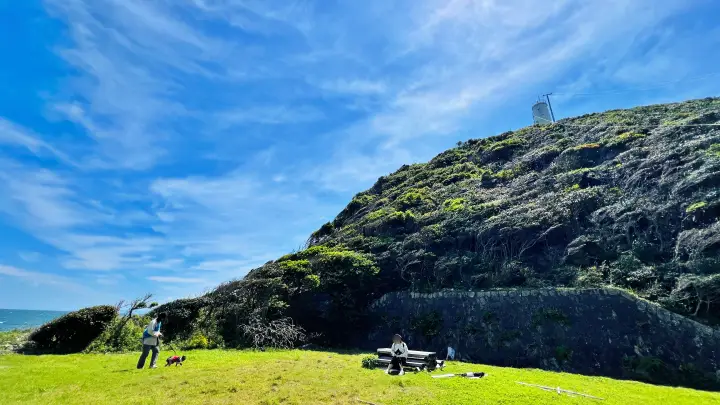 かもだ岬 猫（ペット）と広場で休憩