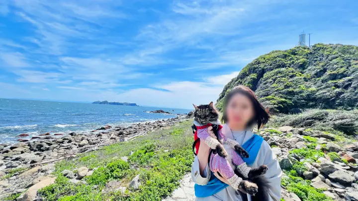 かもだ岬 猫（ペット）