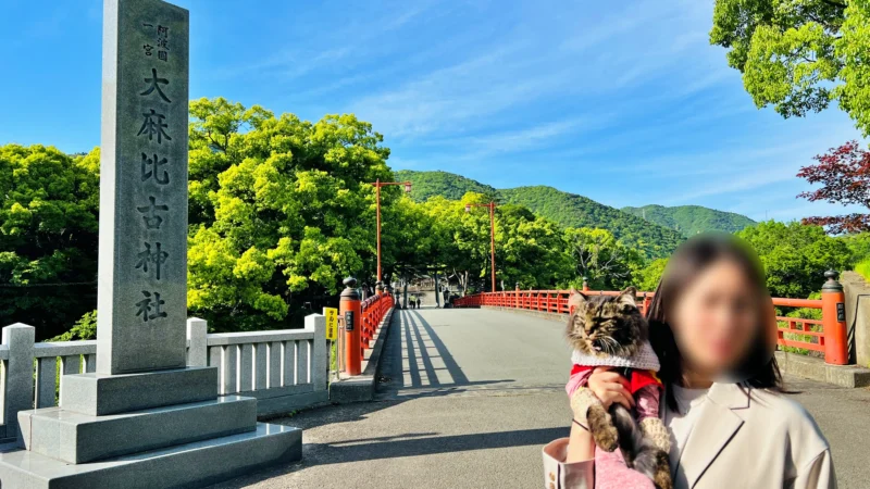 大麻比古神社へ猫ペット同伴 参拝