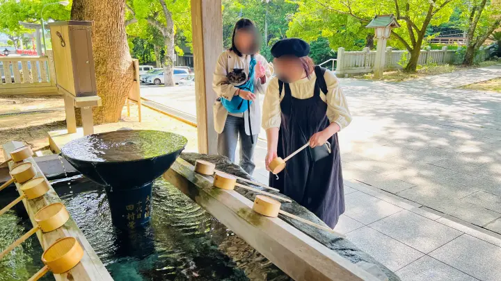 大麻比古神社 猫ペット同伴 手水舎