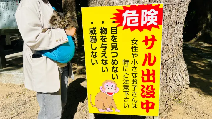 大麻比古神社 猫ペット同伴 猿に注意