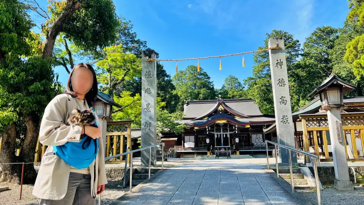大麻比古神社 猫ペット同伴 境内 拝殿