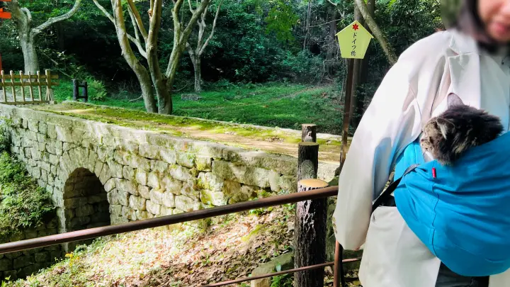 大麻比古神社 猫ペット同伴 ドイツ橋