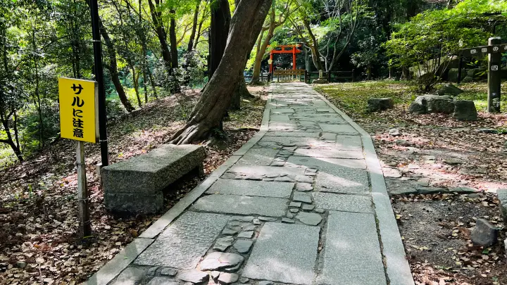 大麻比古神社 猫ペット同伴 歩きやすい境内