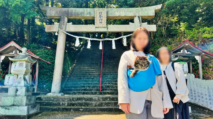 津峯神社 猫(ペット)と徒歩で行く