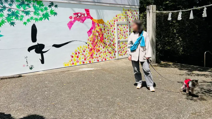 津峯神社 猫(ペット) 参道