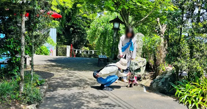 津峯神社 猫(ペット)参拝者さんとの出会い