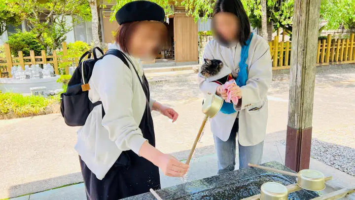 津峯神社 猫(ペット) 手水舎