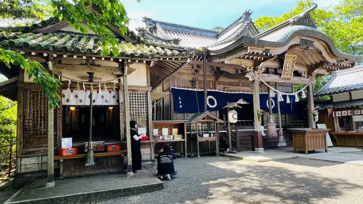 津峯神社 本殿 猫(ペット) 参道