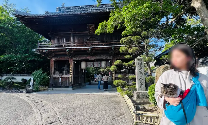 霊山寺 仁王門と猫（ペット）