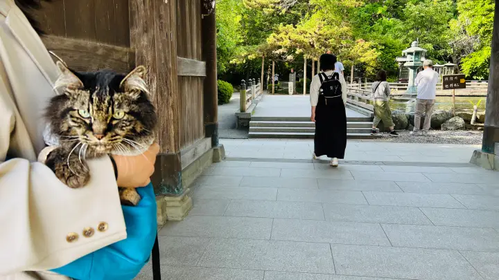 霊山寺 猫（ペット）と参拝