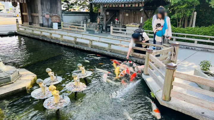 霊山寺 池の鯉と猫（ペット）