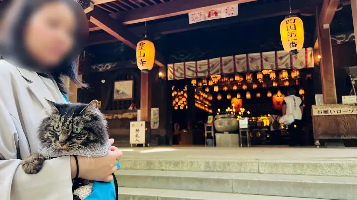 【霊山寺 猫と参拝】ペット同伴可能？ ルールや注意点を実体験レポート お遍路1番札所の特別な空気感
