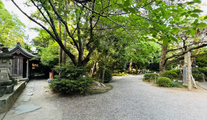 霊山寺 静かな境内