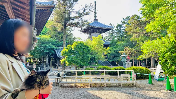 霊山寺 多宝塔