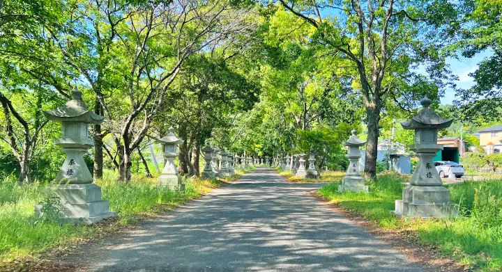 大麻比古神社 猫ペット同伴 神秘的な参道