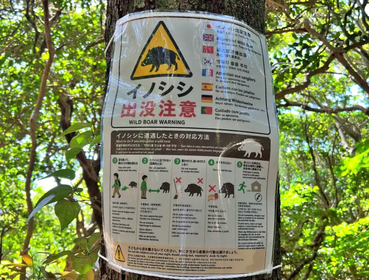 足摺岬 注意看板