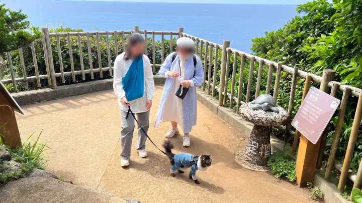 足摺岬 七不思議 亀呼場